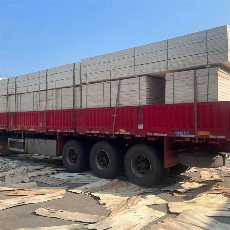 桥头镇探寻会东县进仓物流的多元运输奥秘